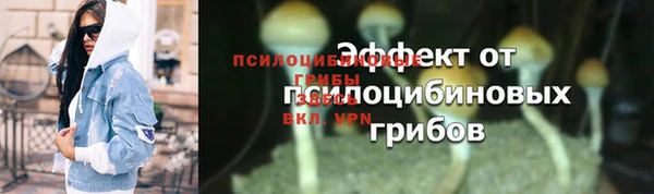 MESCALINE Вяземский